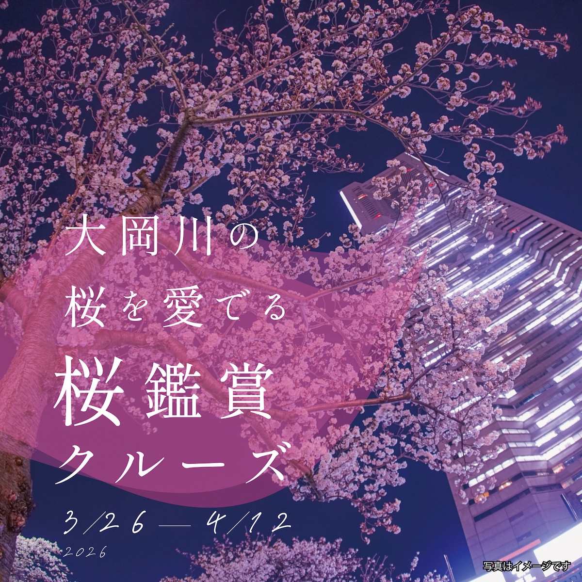 桜鑑賞クルーズ