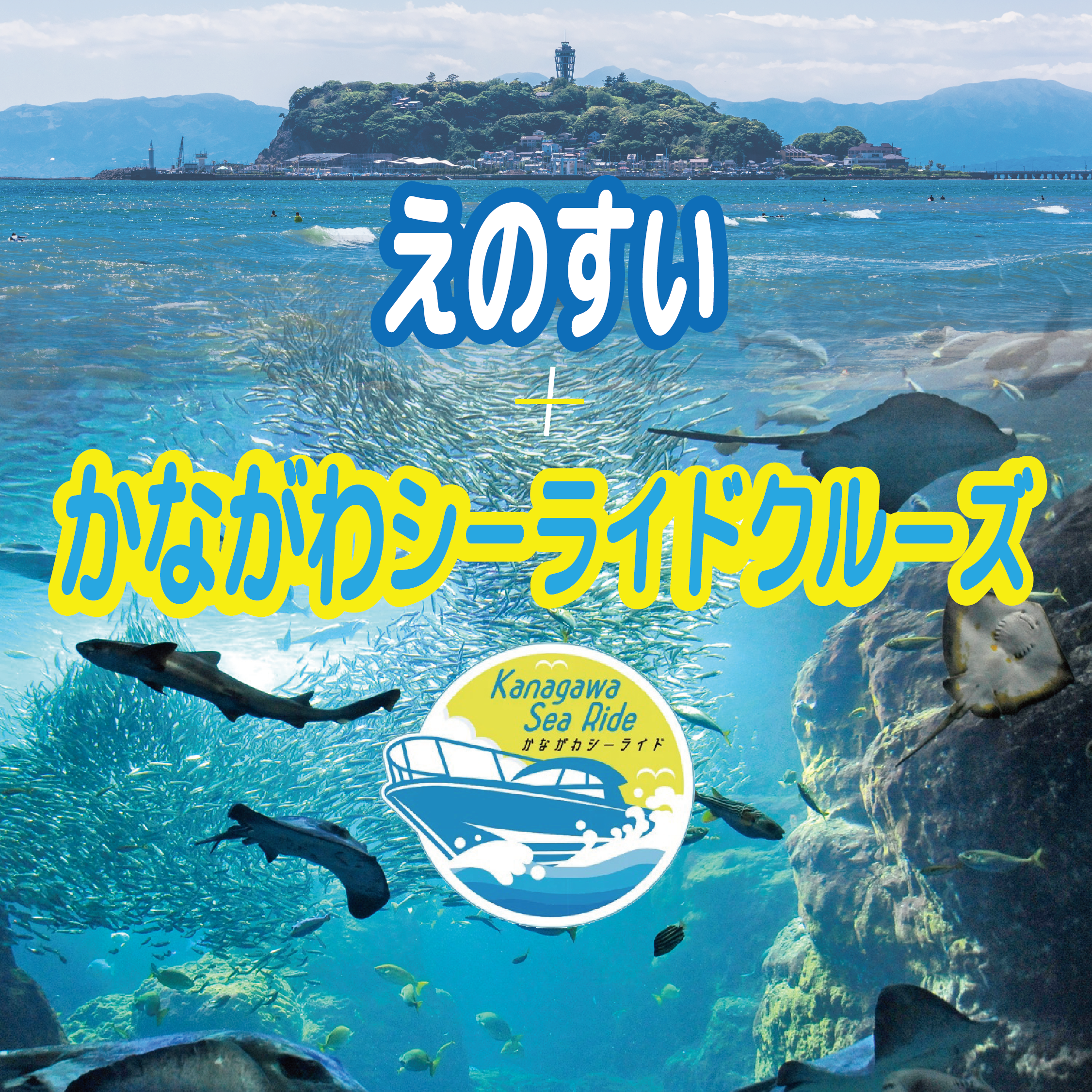 えのすい＋かながわシーライドクルーズ