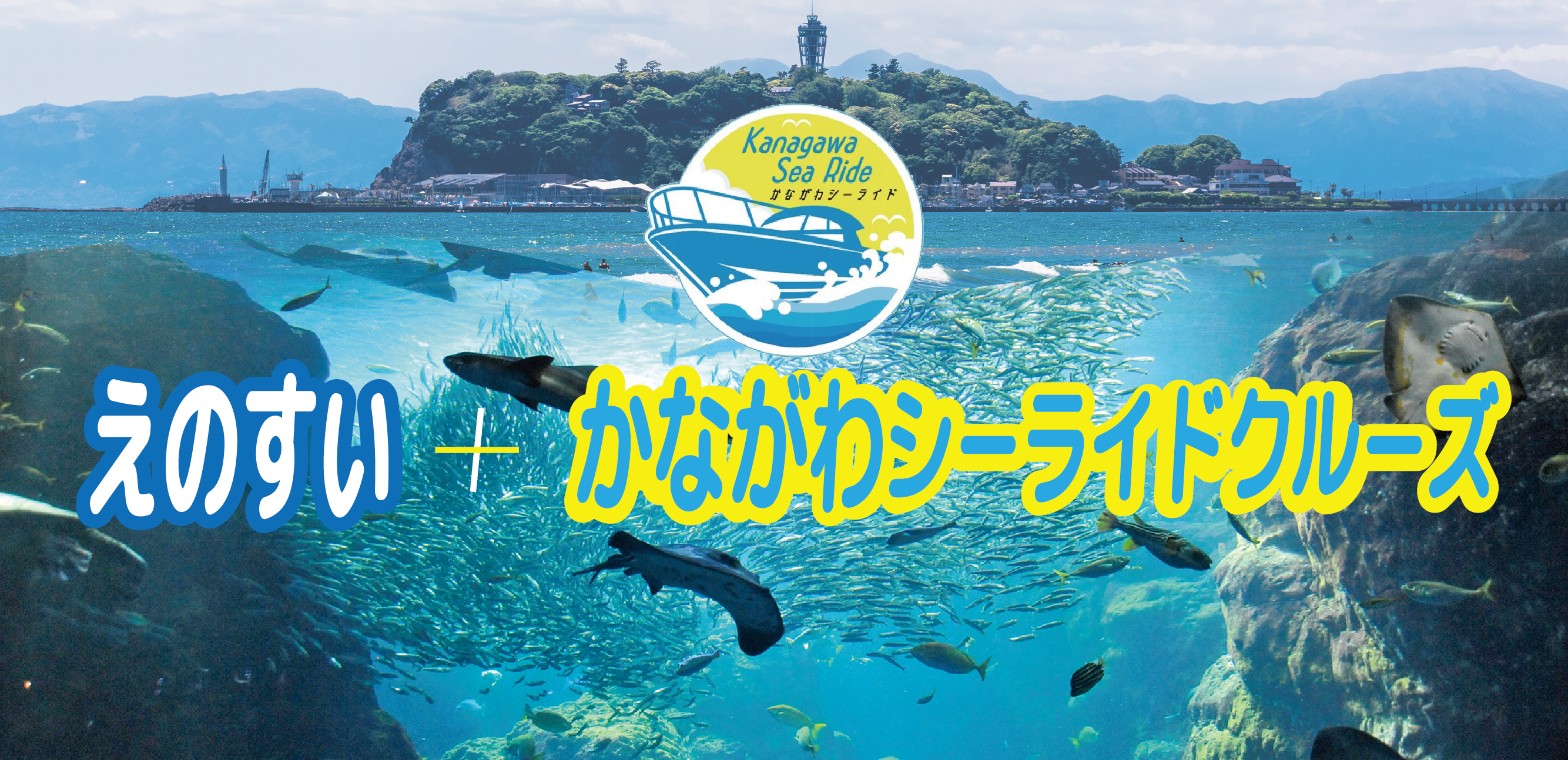 えのすい＋かながわシーライドクルーズ