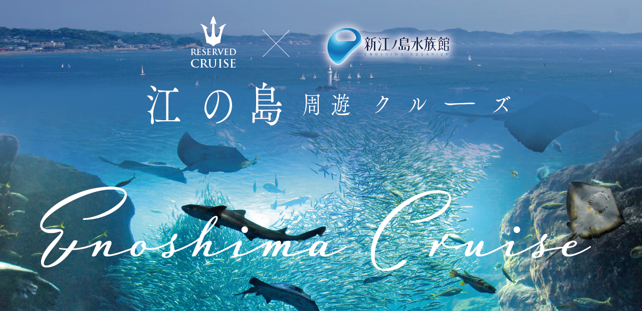 江の島周遊クルーズ