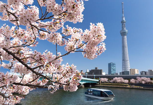 花火鑑賞貸切クルーズ